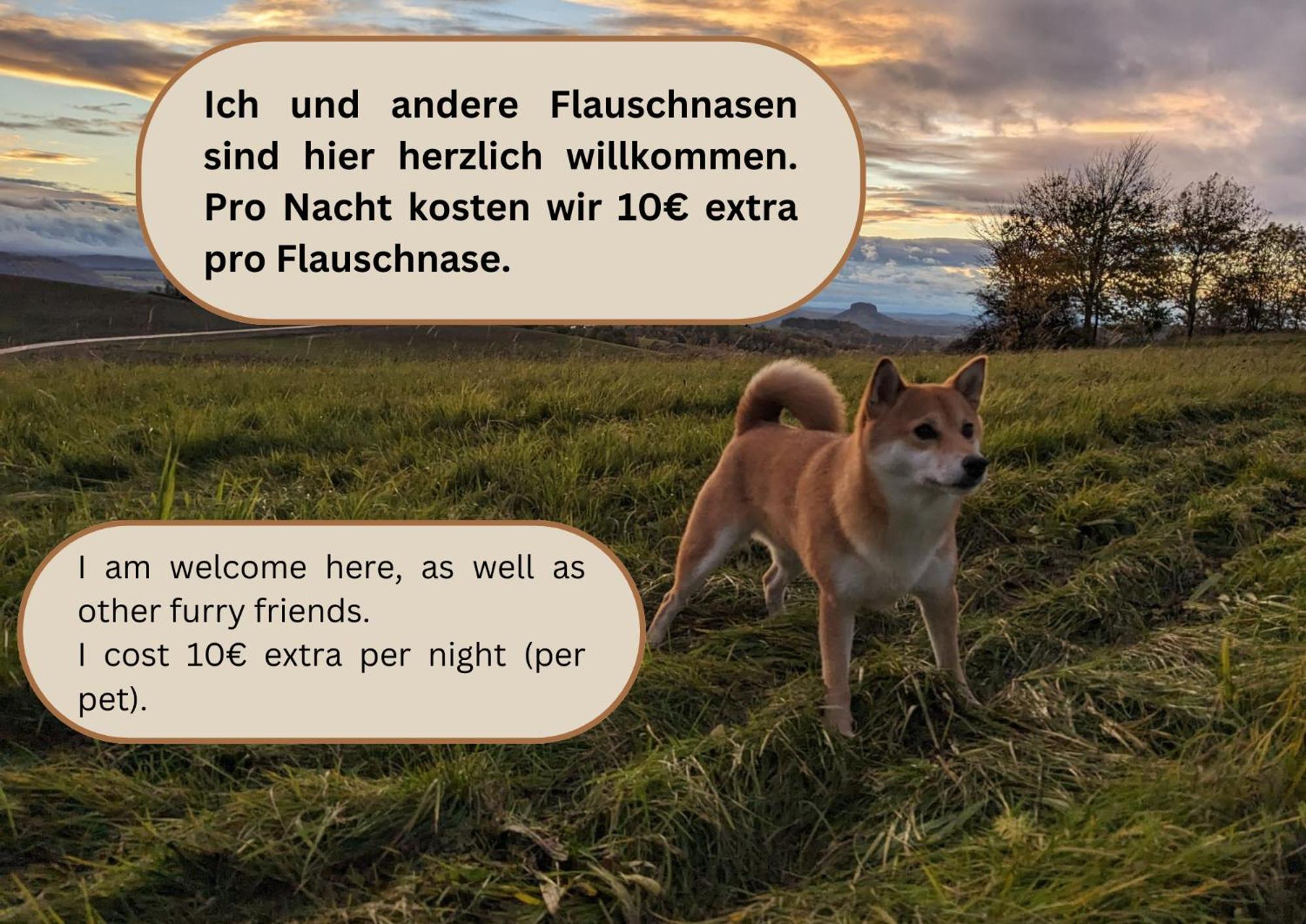 S1 - Urlaubsmagie - Direkt Loswandern, Bis Zu 4P 赛博尼茨 外观 照片